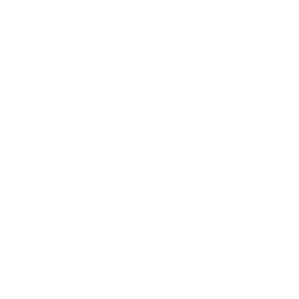 Logo der WSG Oberhausen